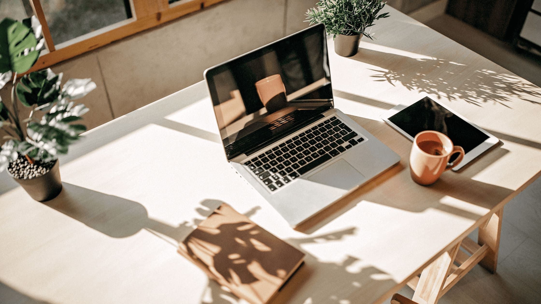Showit niche websites